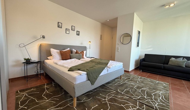 Cozy penthouse with lake view in Constance - your favourite place!