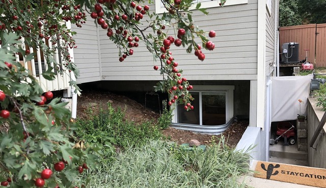 Cozy private basement apartment on North Boulder park