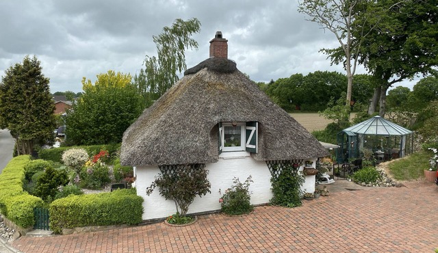 Cozy thatched roof house for sole use. Pet friendly!