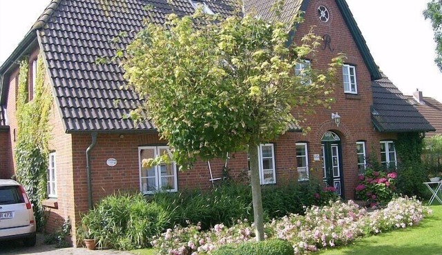 cozy u. family-friendly apartment in the artists' village of Oldsum