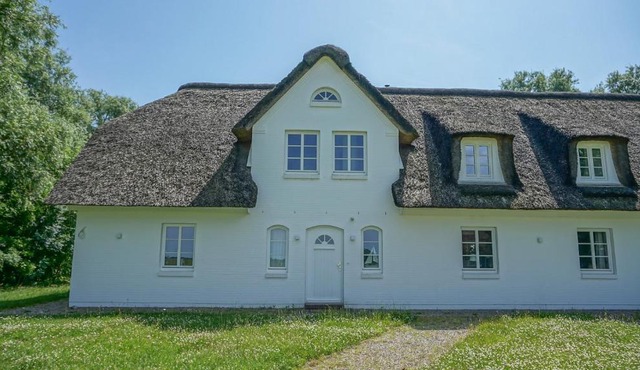 Dünenwarft Süd