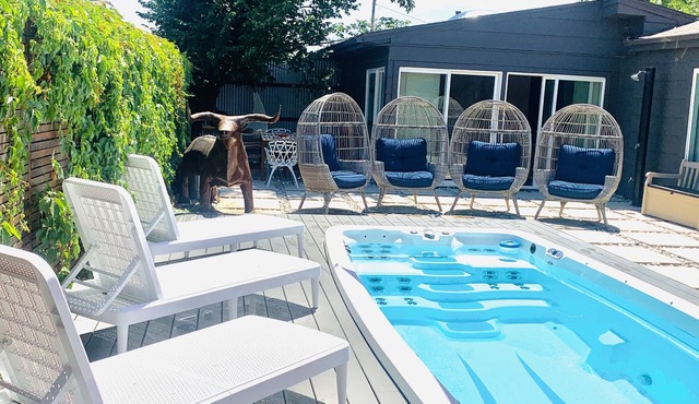 Denver Swim Spa Oasis