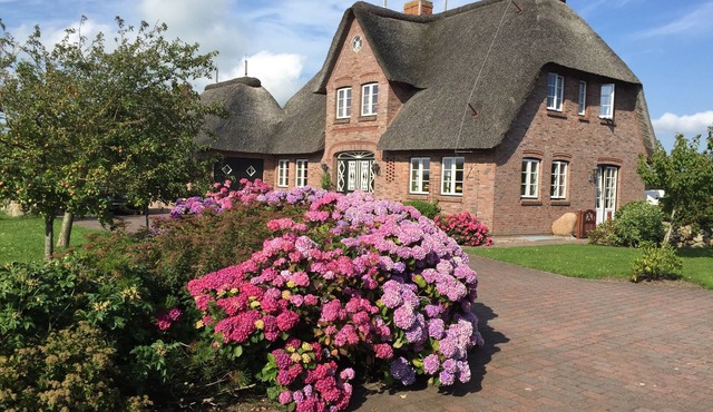 Detached thatched house in a quiet location close to the beach