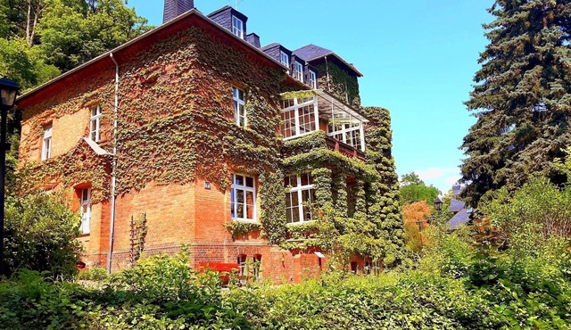 Double room for 2 guests with 39m² in Bad Freienwalde (Oder) (272845)