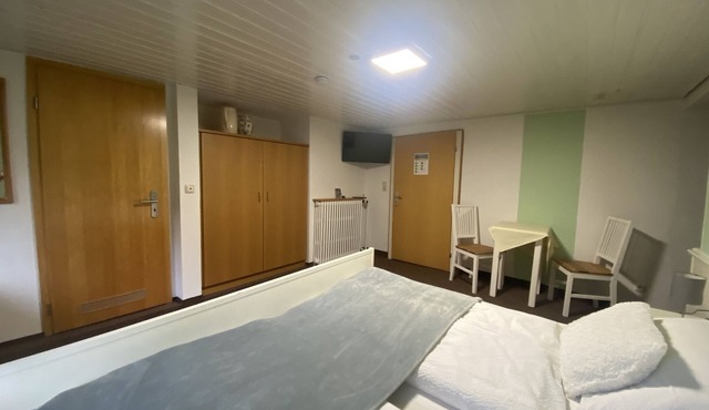 Double room-Classic-Private Bathroom-Mountain view