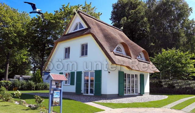Drööm under thatch 2, 3 to 4 bedrooms, 2 bathrooms, sauna.