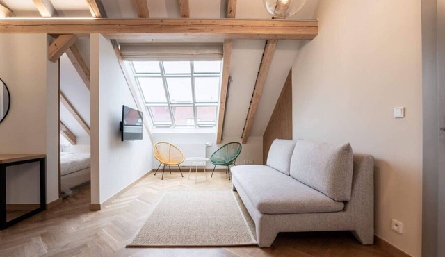 Elegant Attic Loft with Private Terrace in Vinohrady