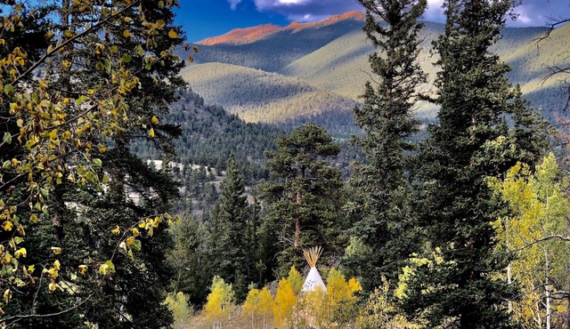 Enjoy a "Weekend in the Wild" in a Conestoga Wagon [2]