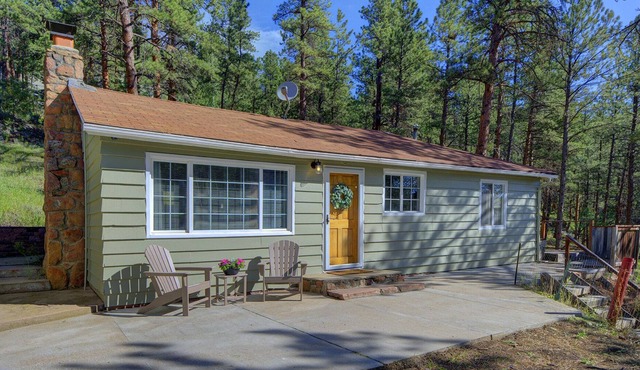 Evergreen Mountain Retreat Minutes From the Lake