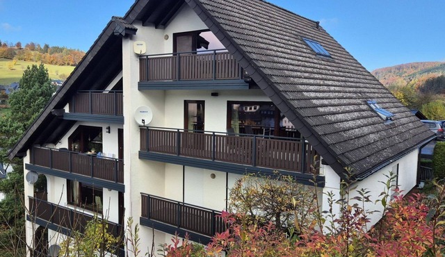 Exclusive apartment with terrace and sauna, close to Willingen and beautiful hiking trails