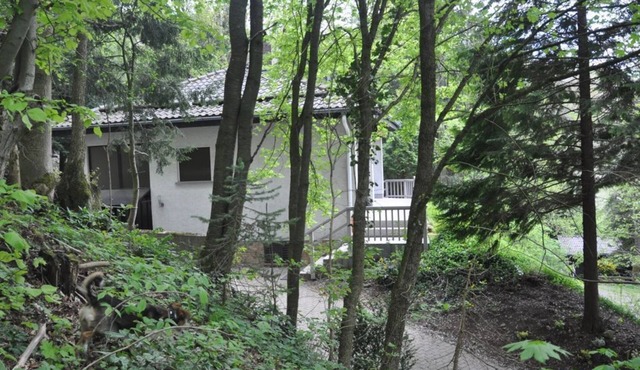 Exclusive holiday home in the Rhön with forest, vacation with dog and family