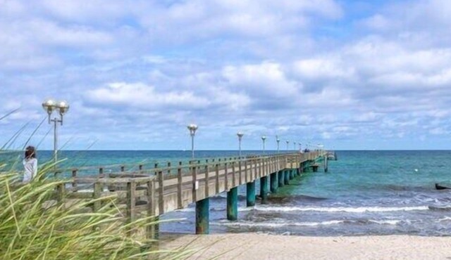Experience forest & waves: Your holiday apartment between forest and Baltic Sea