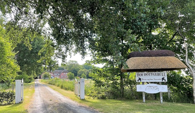 "Experience Serenity and Adventure in Our Charming Country Retreat!"