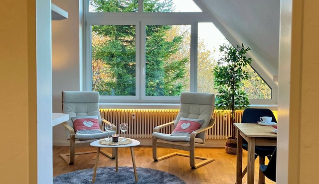 Falkennest - mit Blick auf den Titisee by Interhome