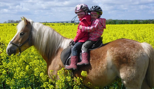 Family-friendly vacation farm with comfortable 3 and 4 star apartments