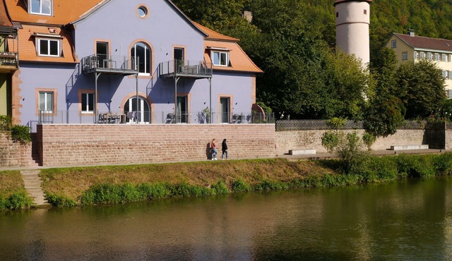 Fantastic apartments with a sun terrace right on the banks of the Tauber