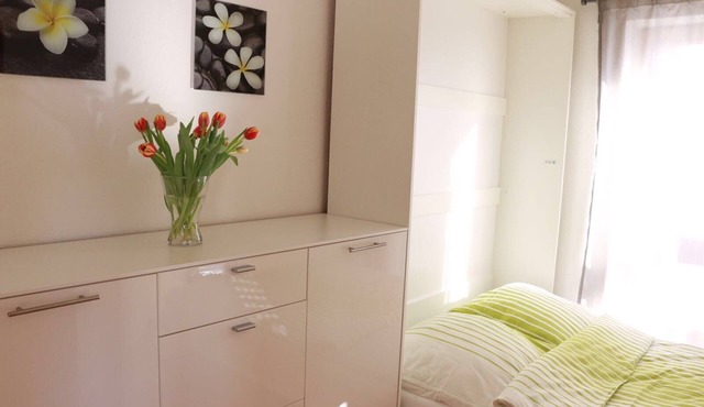 Ferienwohnung Mainaublick Direkt am Bodensee