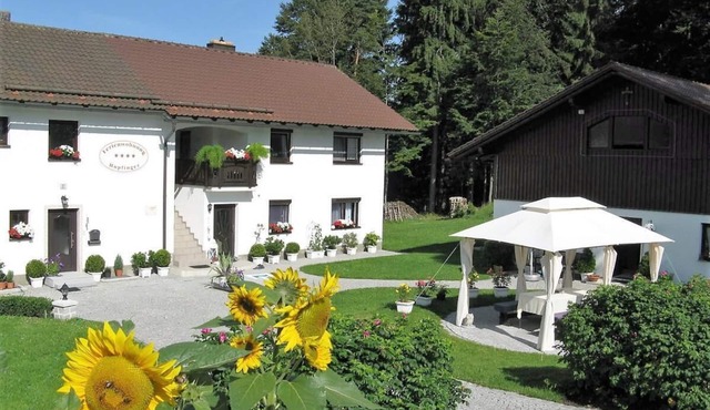 Ferienwohnung mit Südterrasse und kostenfreier WLAN-Nutzung