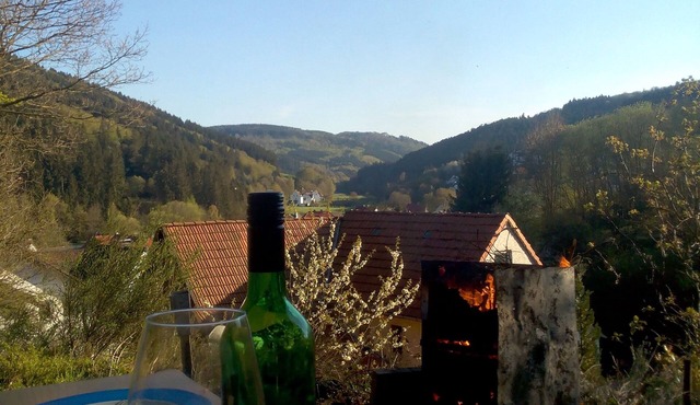 Fewo Pacohaus Nahe Willingen/Diemelsee Berg und Wald