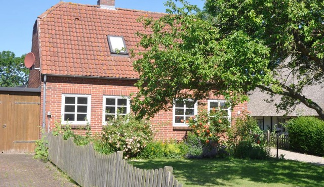 Fischerhus