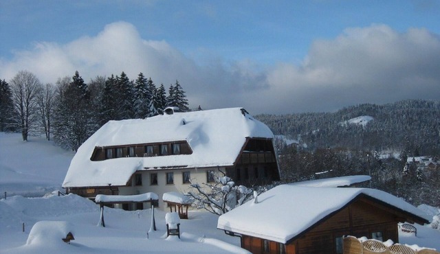 Flat in Wittenschwand