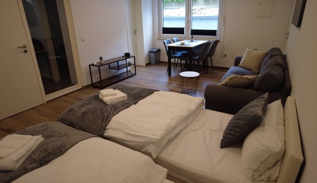 For 3 - box-spring beds, kitchen, internet, parking lot, stadium nearby