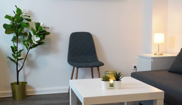 Freshly modernized cosy city apartment