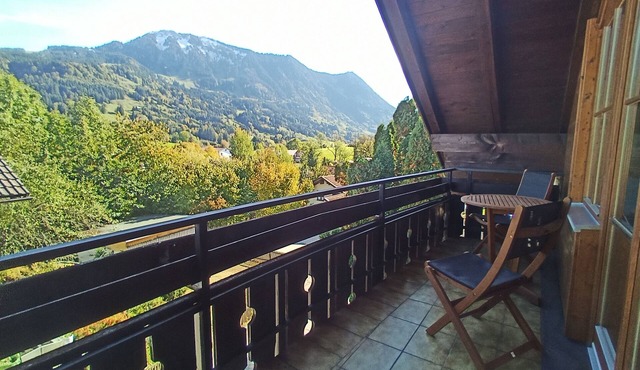 Fully equipped 94sqm apartment with fantastic mountain panorama of the Grünten