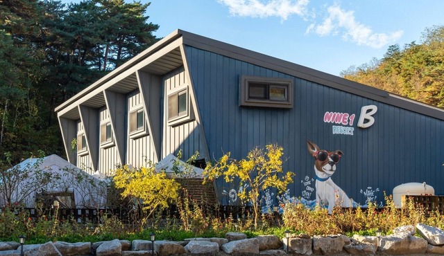Gangneung Nineone Pet Pension