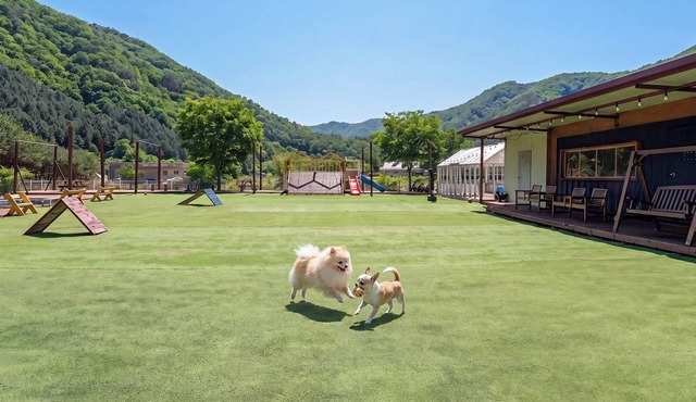 Gapyeong Funny Mongmong Galaxy House