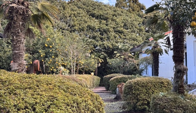 Gardeninjeju