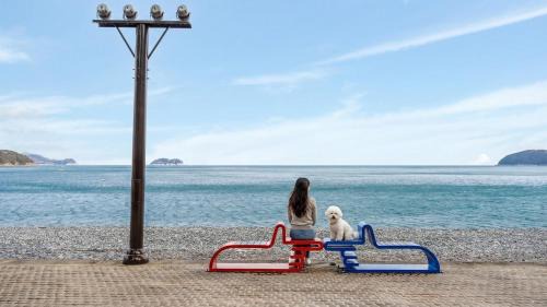 Geoje Blueberry Pet Pension
