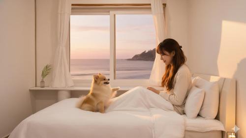 Goseong Jajackdo Aroma Pension