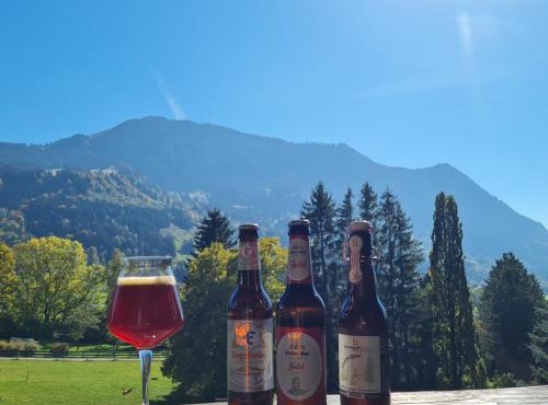 Grüntenausblick Erholung zwischen Alpenpanorama Seen und Wanderwegen