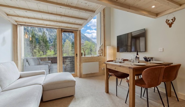Grand Roc C15 280m from Slopes, Mont-Blanc View, Parking & WiFi, Argentière (Chamonix), France