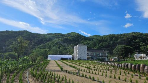 Gwangju Pension and Namhansanseong Art Hall