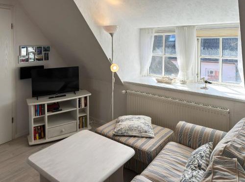 Hüs Sanskiin Ferienwohnung *Goodshenk*