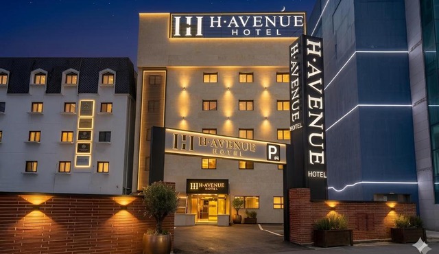 H Avenue Hotel Gyeryong Eomsa branch