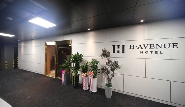 H Avenue Hotel