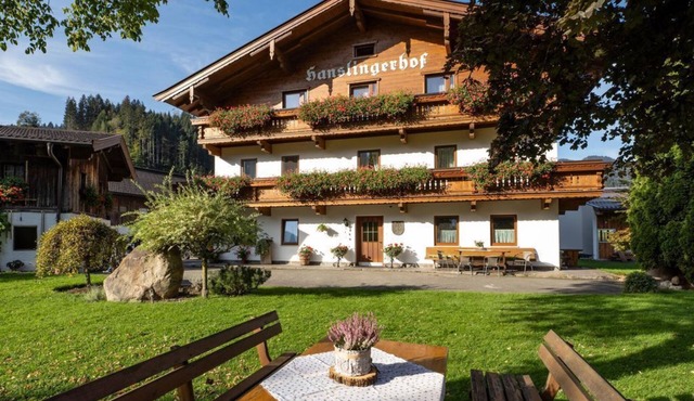 Hanslingerhof Farm - Holiday apartment 3