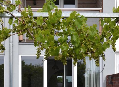 Haus 13 Eutin
