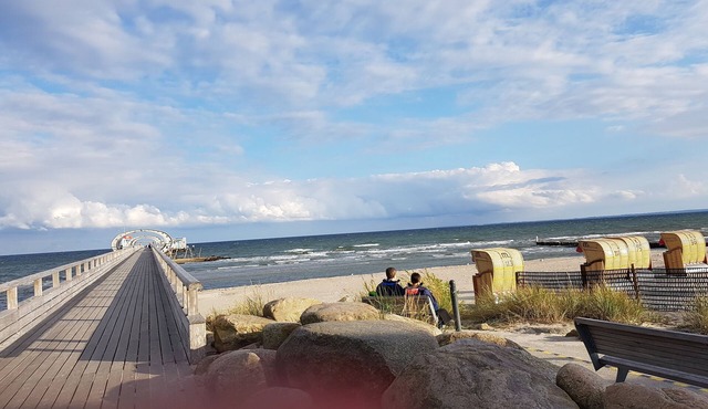 Holiday between forest and waves
