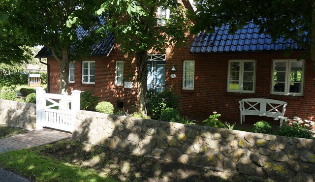 Holiday home for 6 guests with 100m² in Borgsum (51365)