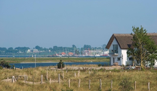 Holiday home for 8 guests with 138m² in Heiligenhafen (20785)
