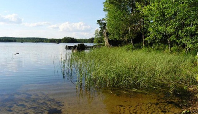 Holiday Home Pynnölänniemi by Interhome