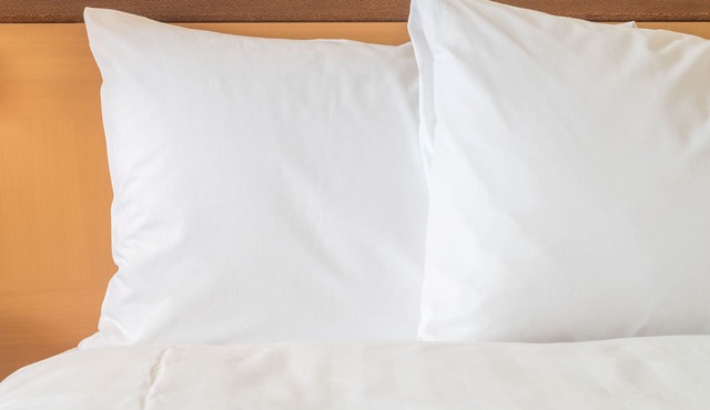 Holiday Inn Express & Suites Wheat Ridge-Denver West by IHG