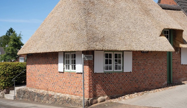 Holidays under thatch in the Stormstadt Husum 4 STARS *
