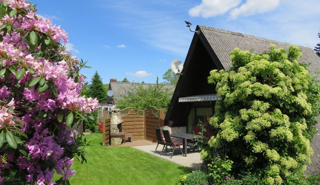 House for 4 guests with 55m² in Bünsdorf (59253)