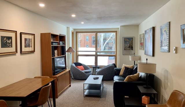 Ideal location, 1 Block to Ski Area, Gondola, 2 to Main St
