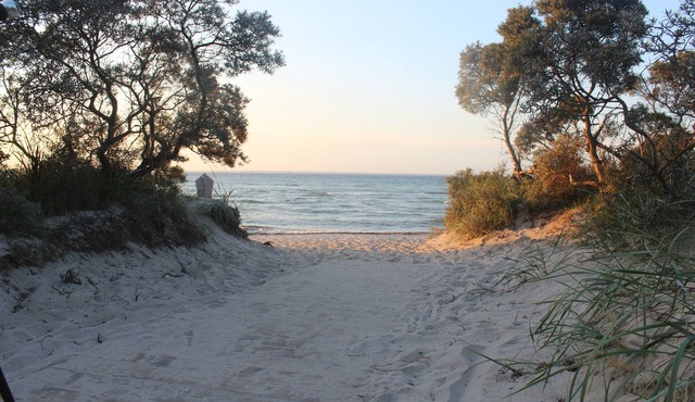 Idyllic Baltic Sea between Priwall-Boltenhagen with swimming pool, sauna, WiFi and pure nature